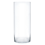 Long Glass Vase