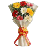 Mixed Gerbera White Paper
