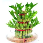 3 Layer Bamboo With Round Vase