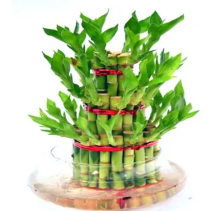 3 Layer Bamboo With Round Vase